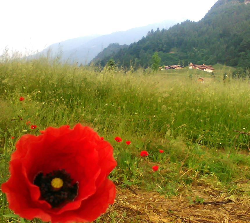 Agritur Cornasest Panzió Breguzzo Kültér fotó
