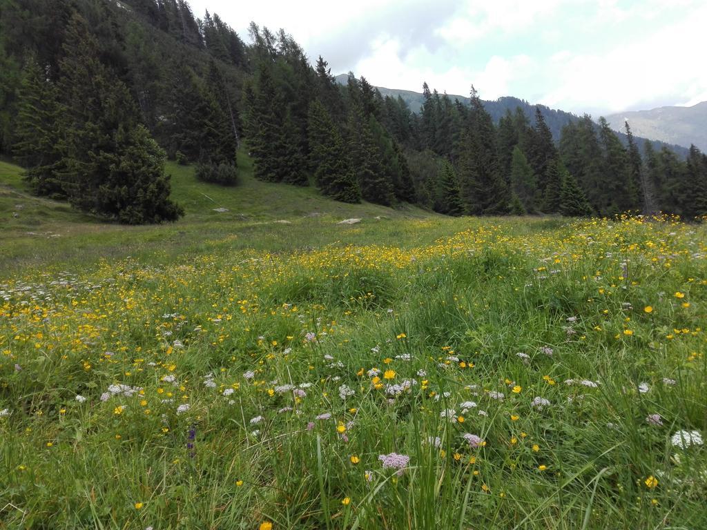 Agritur Cornasest Panzió Breguzzo Kültér fotó