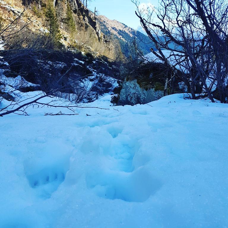 Agritur Cornasest Panzió Breguzzo Kültér fotó