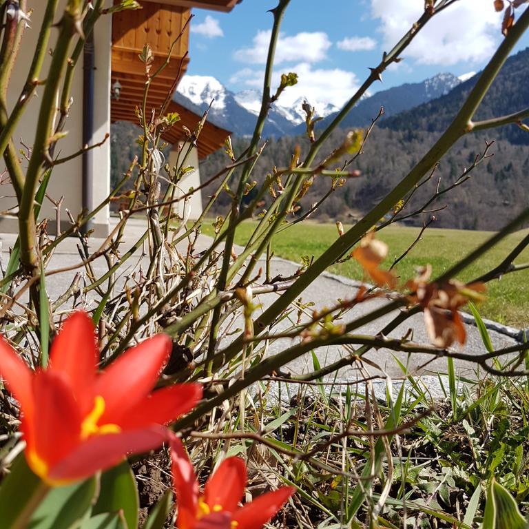 Agritur Cornasest Panzió Breguzzo Kültér fotó
