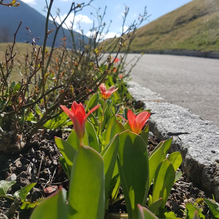 Agritur Cornasest Panzió Breguzzo Kültér fotó